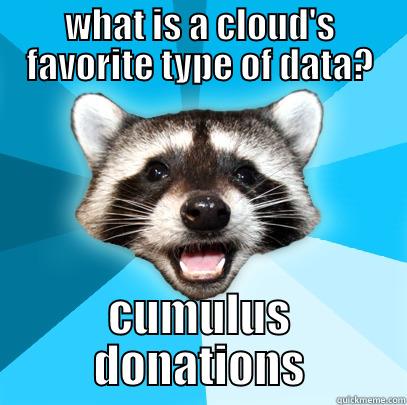 WHAT IS A CLOUD'S FAVORITE TYPE OF DATA? CUMULUS DONATIONS Lame Pun Coon