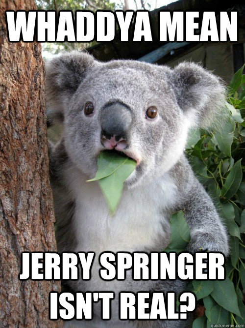 Whaddya mean Jerry springer isn't real?  koala bear