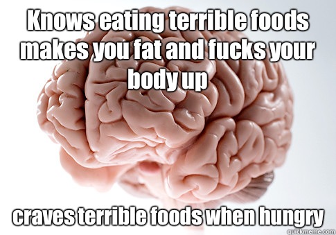 Knows eating terrible foods makes you fat and fucks your body up craves terrible foods when hungry   Scumbag Brain