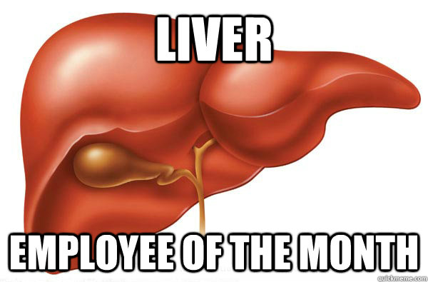 Liver Employee of the month  - Liver Employee of the month   liver6969696