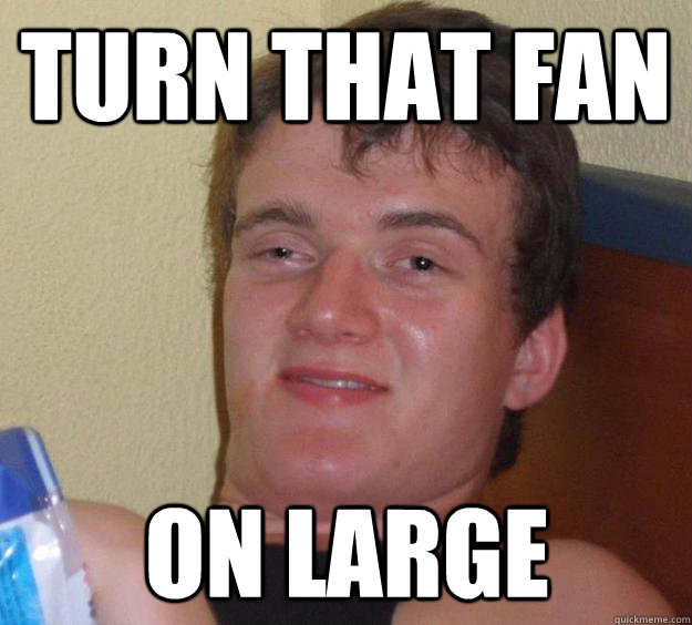 Turn that fan on large  10 Guy