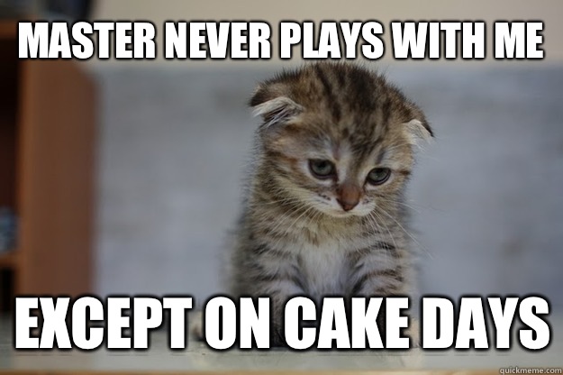 Master never plays with me Except on cake days  Sad Kitten