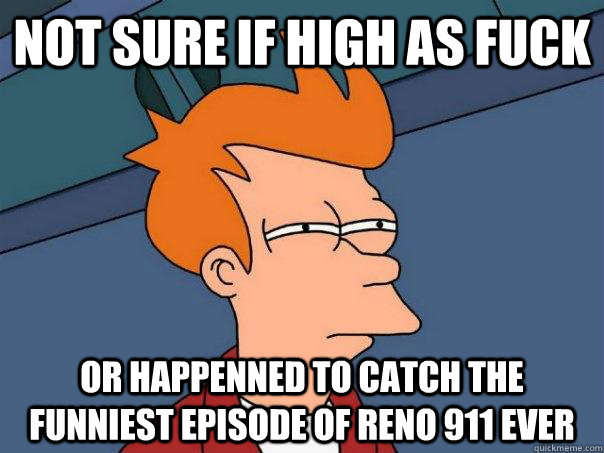 Not sure if high as fuck Or happenned to catch the funniest episode of reno 911 ever  Futurama Fry