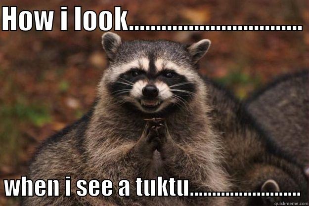 HOW I LOOK................................ WHEN I SEE A TUKTU......................... Evil Plotting Raccoon