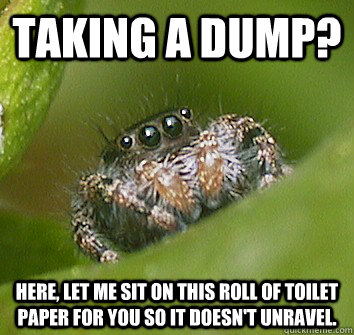 Taking a dump? Here, let me sit on this roll of toilet paper for you so it doesn't unravel.   Misunderstood Spider