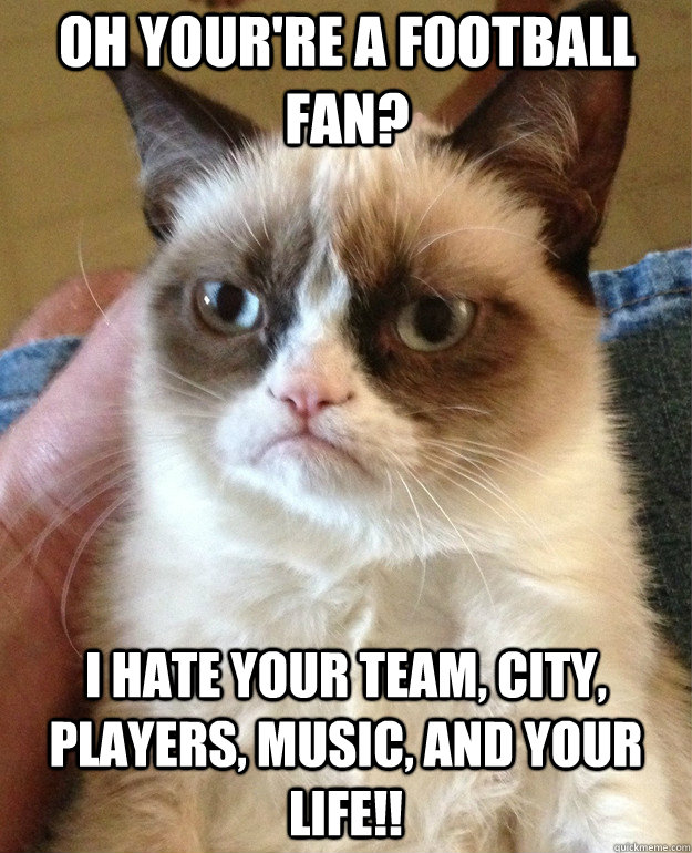 Oh your're a football fan? i hate your team, city, players, music, and your life!!  Grumpy Cat