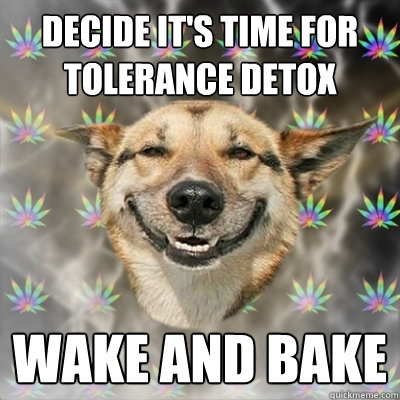 Decide it's time for tolerance detox Wake and Bake  Stoner Dog