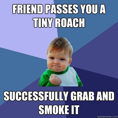 Friend passes you a tiny roach successfully grab and smoke it
  Success Kid