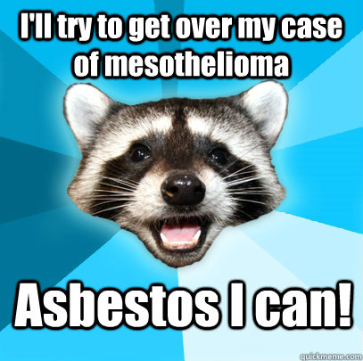 I'll try to get over my case of mesothelioma Asbestos I can!  Lame Pun Coon