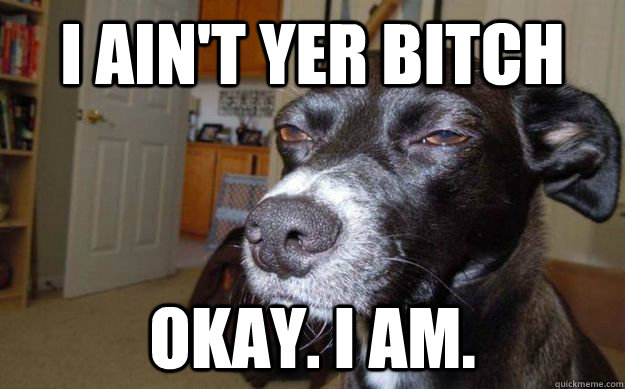 I ain't yer bitch Okay. I am.  Skeptical Mutt