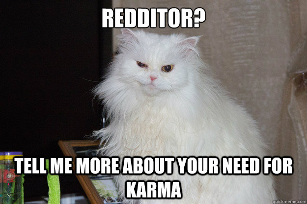 Redditor? Tell me more about your need for karma  Unimpressed Cat