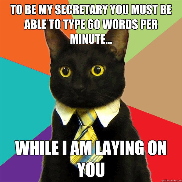 To be my secretary you must be able to type 60 words per minute... while i am laying on you  Business Cat