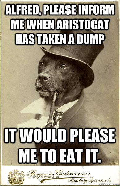 Alfred, please inform me when Aristocat has taken a dump It would please me to eat it.  Old Money Dog