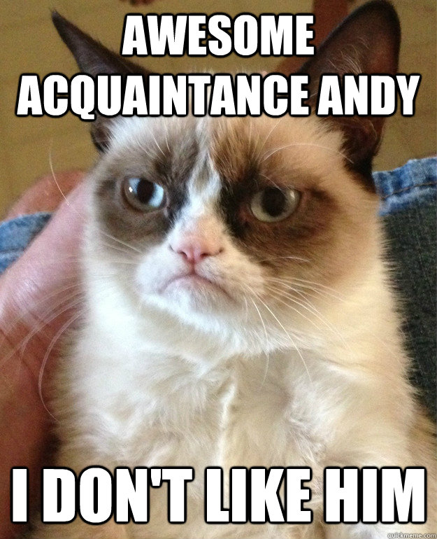 awesome acquaintance andy i don't like him  Grumpy Cat