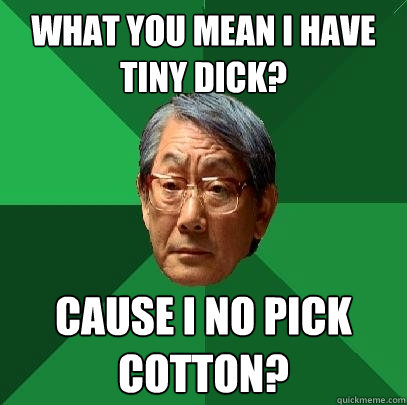 WHAT YOU MEAN I HAVE TINY DICK? CAUSE I NO PICK COTTON?  High Expectations Asian Father