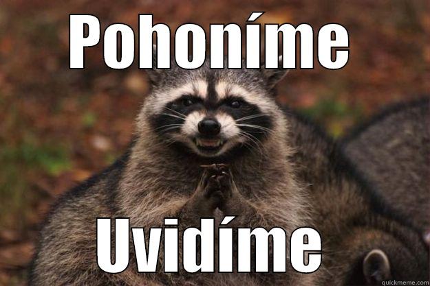 POHONÍME UVIDÍME Evil Plotting Raccoon