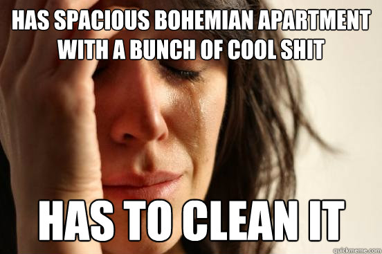 Has spacious bohemian apartment with a bunch of cool shit has to clean it - Has spacious bohemian apartment with a bunch of cool shit has to clean it  First World Problems