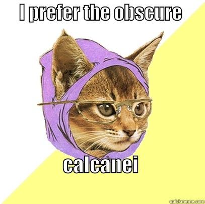      I PREFER THE OBSCURE            CALCANEI                                   Hipster Kitty