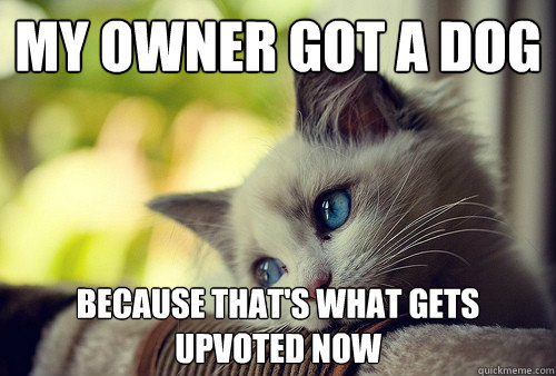 My owner got a dog Because that's what gets upvoted now  First World Problems Cat