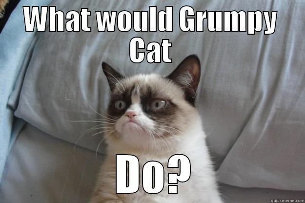 Grumpy Cat - WHAT WOULD GRUMPY CAT  DO? Grumpy Cat