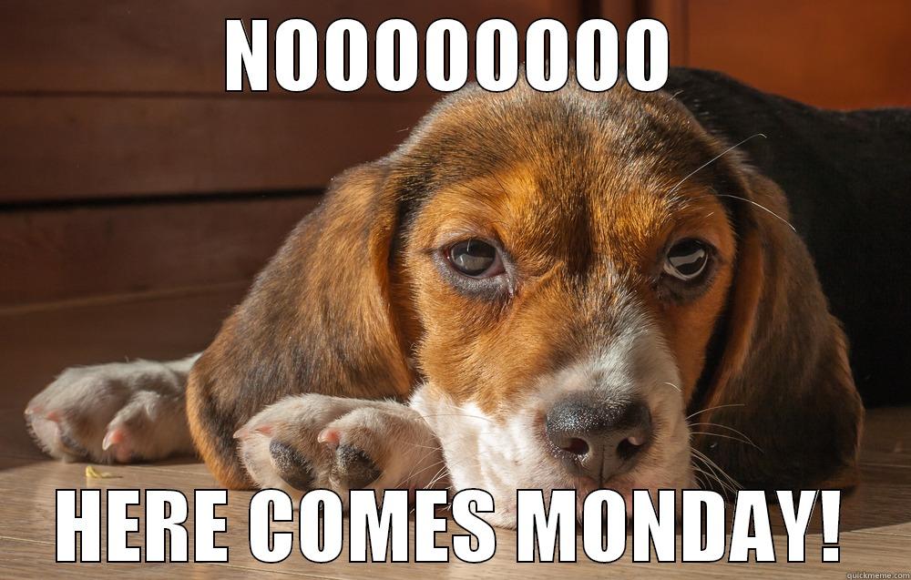 NOOOOOOOO HERE COMES MONDAY! Misc