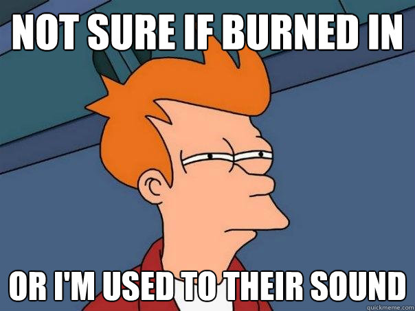 not sure if burned in or i'm used to their sound - not sure if burned in or i'm used to their sound  Futurama Fry