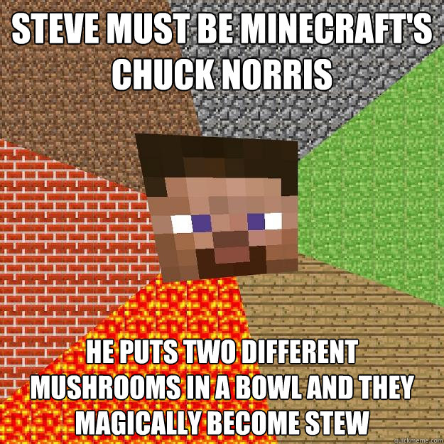 Steve must be minecraft's chuck norris he puts two different mushrooms in a bowl and they magically become stew  Minecraft