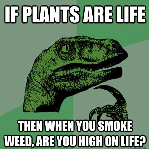 If plants are life Then when you smoke weed, are you high on life? - If plants are life Then when you smoke weed, are you high on life?  Philosoraptor