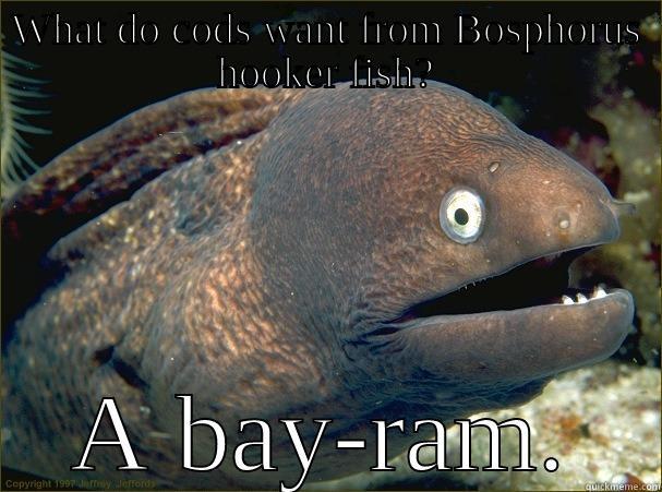 WHAT DO CODS WANT FROM BOSPHORUS HOOKER FISH? A BAY-RAM. Bad Joke Eel