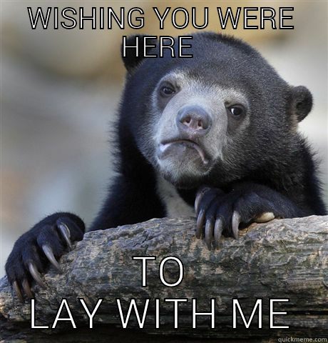 WISHING YOU WERE HERE  TO LAY WITH ME Confession Bear