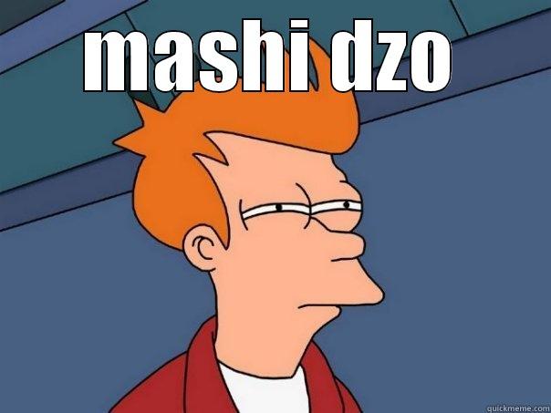 MASHI DZO  Futurama Fry