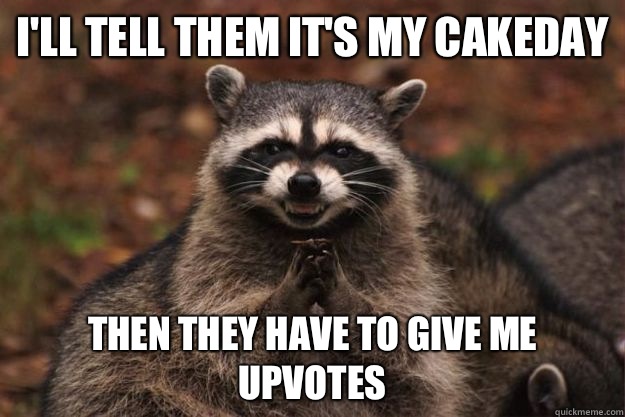 I'll tell them it's my cakeday Then they have to give me upvotes  Evil Plotting Raccoon