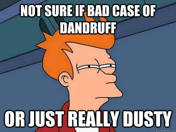 not sure if bad case of dandruff or just really dusty - not sure if bad case of dandruff or just really dusty  Futurama Fry