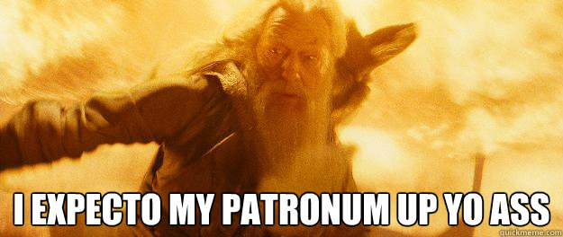 I EXPECTO MY PATRONUM UP YO ASS - I EXPECTO MY PATRONUM UP YO ASS  Dumbledore