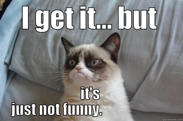 Not... Funny - I GET IT... BUT IT'S JUST NOT FUNNY.                         Grumpy Cat