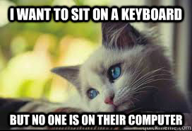 I want to sit on a keyboard but no one is on their computer   