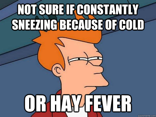 Not sure if constantly sneezing because of cold Or hay fever  Futurama Fry