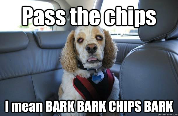 Pass the chips I mean BARK BARK CHIPS BARK  10 Dog