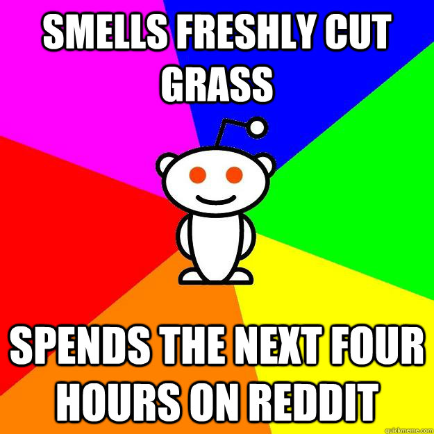 Smells freshly cut grass Spends the next four hours on reddit  Reddit Alien