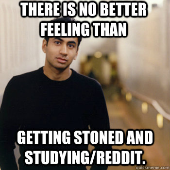 There is no better feeling than getting stoned and studying/reddit.  Straight A Stoner