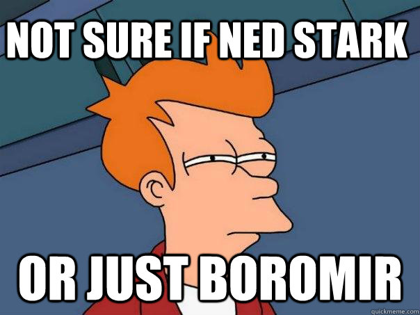 Not sure if Ned Stark Or just Boromir - Not sure if Ned Stark Or just Boromir  Futurama Fry