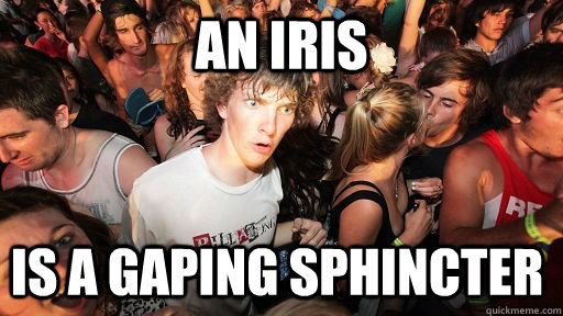 an iris is a gaping sphincter - an iris is a gaping sphincter  Sudden Clarity Clarence