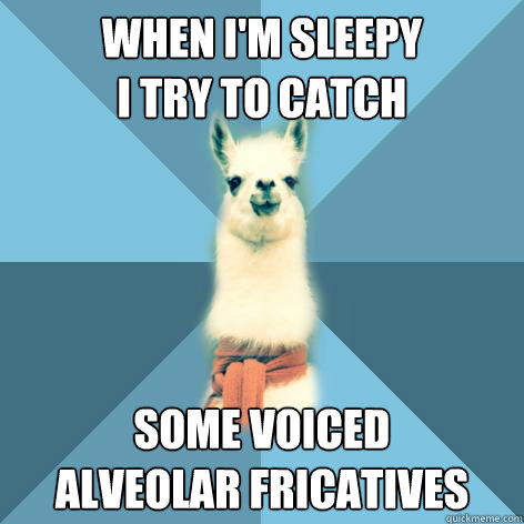 when i'm sleepy 
i try to catch some voiced 
alveolar fricatives   Linguist Llama