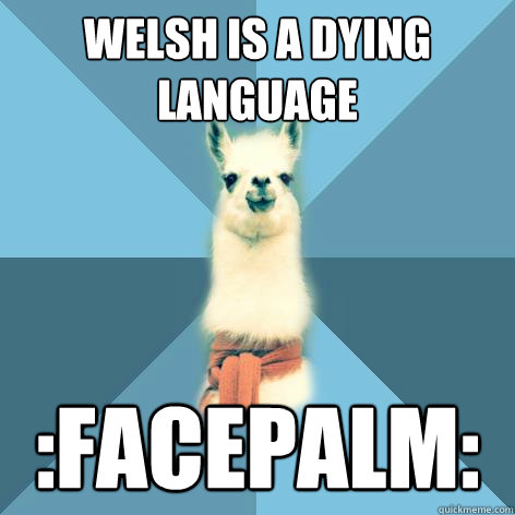 Welsh is a dying language :facepalm:  Linguist Llama