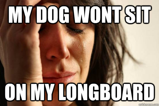 my dog wont sit on my longboard  First World Problems