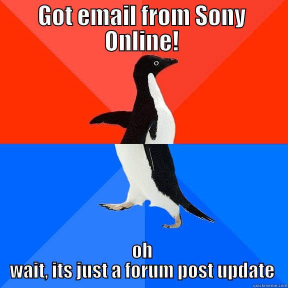 GOT EMAIL FROM SONY ONLINE! OH WAIT, ITS JUST A FORUM POST UPDATE Socially Awesome Awkward Penguin