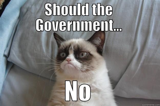 SHOULD THE GOVERNMENT... NO Grumpy Cat