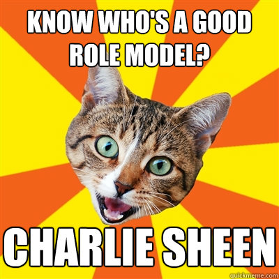 Know who's a good role model? Charlie Sheen  Bad Advice Cat