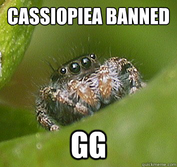 Cassiopiea banned GG  Misunderstood Spider