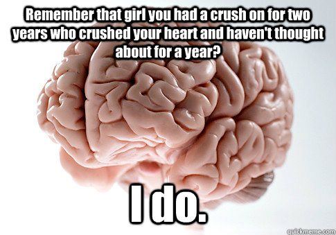 Remember that girl you had a crush on for two years who crushed your heart and haven't thought about for a year? I do.  Scumbag Brain